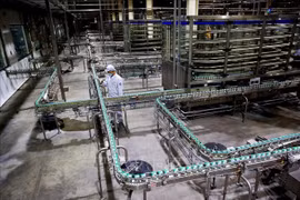 "Sản xuất sữa chờ công bố 21 ngày, sữa thiu mất rồi"