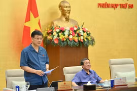 Thu gọn số lượng các quy hoạch, tập trung sửa đổi những vấn đề cấp bách