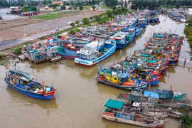 Ninh Bình yêu cầu sơ tán dân, dừng toàn bộ đò trước 18h ngày 24/9 để phòng chống bão Ragasa