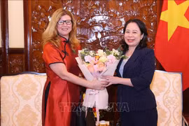 Phó Chủ tịch nước Võ Thị Ánh Xuân tiếp Trưởng đại diện UNICEF tại Việt Nam