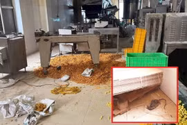 Rùng mình xưởng bim bim tại Hà Nội, xác chuột chết bốc mùi trong khu sản xuất