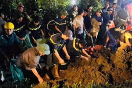 Bộ Nông nghiệp và Môi trường yêu cầu 29 tỉnh, TP đảm bảo an toàn đê điều mùa mưa lũ