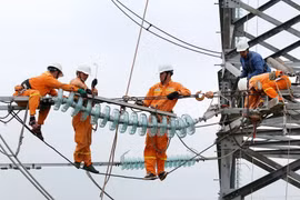 Hoàn thành thay thế cách điện đường dây 220kV mạch kép Thái Bình – Tiền Hải – Trực Ninh