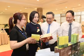 Tỉnh Lâm Đồng kết nối tầm nhìn, kiến tạo tương lai hậu sáp nhập hành chính