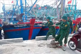 Gần 30.000 người đã sơ tán, toàn bộ tàu thuyền về bờ tránh bão số 5