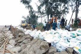 Ban Chỉ đạo Phòng thủ dân sự quốc gia yêu cầu 14 tỉnh, thành chủ động ứng phó bão số 11
