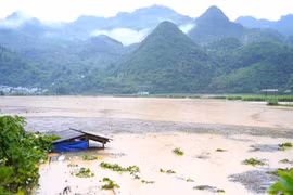Lào Cai: Mưa lớn ngập đường phố núi Mường Khương, nước lũ lớn sông Hồng đang đổ về