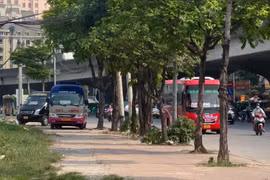 Hà Nội: Xe khách lại ‘lộng hành’, dừng đỗ tùy tiện, lập bến cóc trên vỉa hè, lòng đường