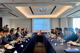 Bộ trưởng Bộ Công Thương: Việt Nam tập trung phát triển năng lượng tái tạo, điện hạt nhân