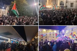 Cộng đồng quốc tế lên án vụ Israel chặn bắt các tàu cứu trợ Gaza