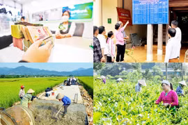 Xây dựng cơ sở dữ liệu các chương trình mục tiêu quốc gia bảo đảm bảo mật, an toàn