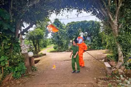 Gia Lai: Xử lý tổ ong vò vẽ tấn công 3 em nhỏ thương vong ở mái ấm Thiên Ân