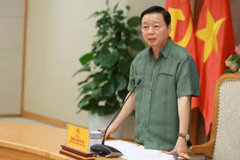 Người dân phải có sinh kế, cuộc sống ổn định từ chính sách phát triển cây dược liệu