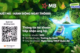 MB Bank : Phát động chương trình trồng 1 triệu cây xanh cho Trường Sa