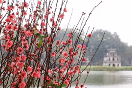 Đồng chí Nguyễn Đức Lợi tới thăm và chúc Tết gia đình các nhà báo lão thành