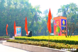 Phố phường Hà Nội rực rỡ sắc đỏ trước thềm Tết Nguyên đán 2025