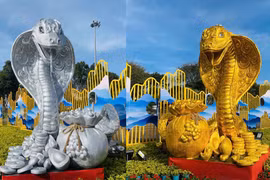 Chiêm ngưỡng bộ đôi 'rắn vàng, rắn bạc' ở Gia Lai mang ý nghĩa sung túc, phát triển