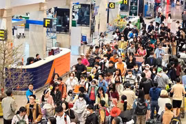 1.000 chuyến bay cất/hạ cánh từ Tân Sơn Nhất hôm nay