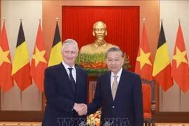Tổng Bí thư Tô Lâm tiếp Nhà vua Bỉ