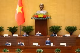 Nhiều đại biểu quốc hội đề xuất cấm tuyệt đối thuốc lá điện tử, thuốc lá nung nóng và khí N2O