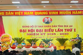 Xác định 5 trụ cột, 4 khâu đột phá đưa Gia Lai phát triển nhanh, bền vững