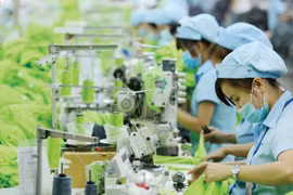 Nghiên cứu, đánh giá các công cụ tài chính xanh của EU nhằm hỗ trợ doanh nghiệp Việt Nam chuyển đổi xanh