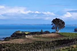 New Zealand miễn thị thực cho du khách Trung Quốc khi nhập cảnh từ Úc