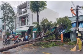 Long An: Chủ động phòng ngừa, ứng phó với diễn biến thiên tai