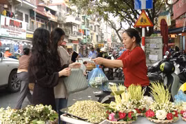 Hoa bưởi tỏa hương nơi phố phường tấp nập