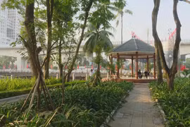 Tái sinh không gian bỏ trống thành công viên xanh cho người dân