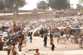 Nội chiến Sudan vượt khỏi tầm kiểm soát, Liên hợp quốc kêu gọi chấm dứt bạo lực