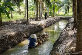 Chiếu miễn phí 14 bộ phim nhân kỷ niệm 80 năm Cách mạng Tháng Tám