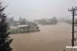 Khẩn trương ứng phó  bão số 10: Cục Quản lý đê điều và Phòng, chống thiên tai đưa ra khuyến cáo