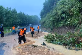 Bão số 10 gây thiệt hại nặng, Bộ Công Thương chỉ đạo khẩn trương khôi phục hệ thống điện
