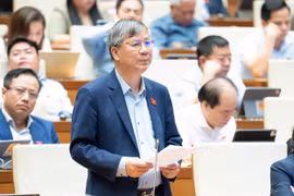 Điều tiết, tạo điều kiện phát triển các dự án FDI cho các tỉnh còn khó khăn