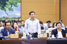 Bàn cơ chế đặc thù cho TP HCM, Đà Nẵng: Hoàn thiện khung pháp lý Khu thương mại tự do