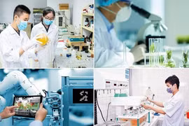 Đến năm 2030, lĩnh vực khoa học kỹ thuật đạt 1,1 bài báo quốc tế uy tín/tiến sĩ/năm
