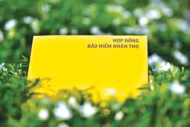 Hiệp hội Bảo hiểm cảnh báo: Thông tin giả mạo đang làm lung lay niềm tin thị trường