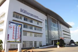 Bị chó cắn 3 lần không tiêm phòng, bé trai tử vong vì bệnh dại