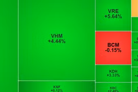 VN-Index tăng vọt hơn 38 điểm, cổ phiếu nhà Vin thành 'công thần'
