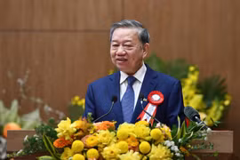Tổng Bí thư Tô Lâm: Dữ liệu đã trở thành 'năng lượng mới', là 'máu' của nền kinh tế số