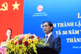 Xây dựng đội ngũ cán bộ đối ngoại 'vừa hồng, vừa chuyên' cho TP HCM và các tỉnh phía nam