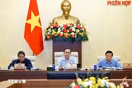 Chống hàng giả, hàng nhái: Quốc hội yêu cầu luật hóa trách nhiệm đến cùng