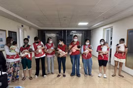 Triệt phá đường dây mang thai hộ xuyên quốc gia, giải cứu thành công 11 cháu bé
