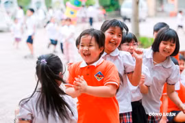 5 thông tư lớn về phân quyền, phân cấp quản lý nhà nước lĩnh vực giáo dục