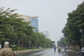 Dự báo thời tiết ngày 12/2: Nam Bộ có mưa dông, trời se lạnh