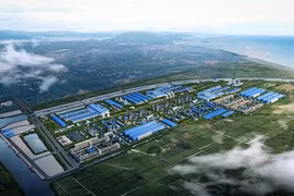 Nam Định: Phạt 850 triệu đồng đối với 6 trường hợp lấn chiếm đất Nhà nước tại khu vực Cồn Xanh