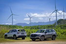 Subaru Forester Hybrid 2026 giá quy đổi từ hơn 1,1 tỷ đồng
