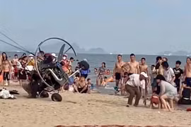 Xử phạt công ty tổ chức dù lượn sau sự cố va chạm du khách tại Bãi Cháy