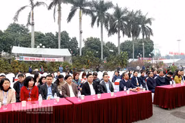Ninh Bình: Khai mạc Hội chợ Hoa Xuân Ất Tỵ năm 2025